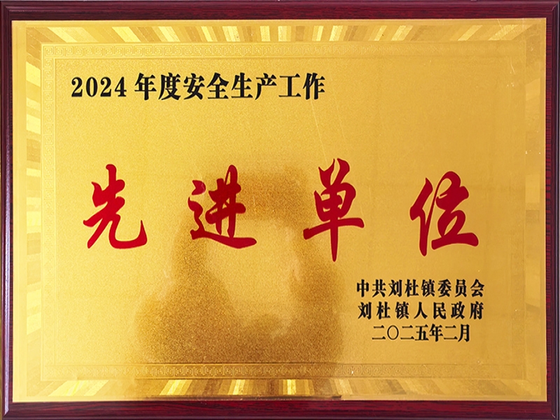 2024年度安全生产工作先进单位