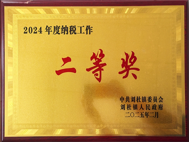 2024年度纳税工作二等奖
